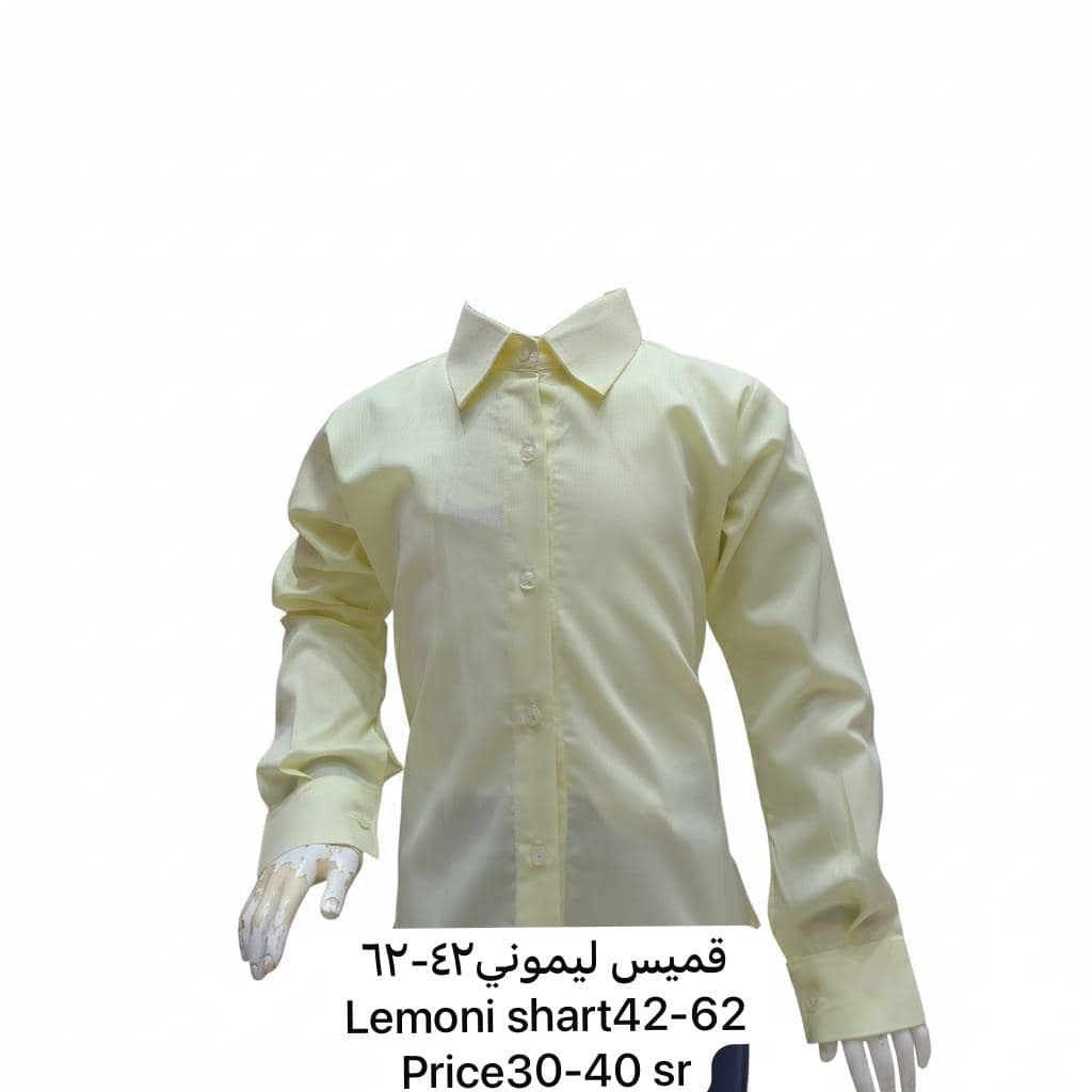919f2e7a-c1a1-4018-917b-799043a67b54 Long-Sleeve Formal Shirt - Image 1